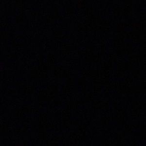 Meet your Posher, Ricky